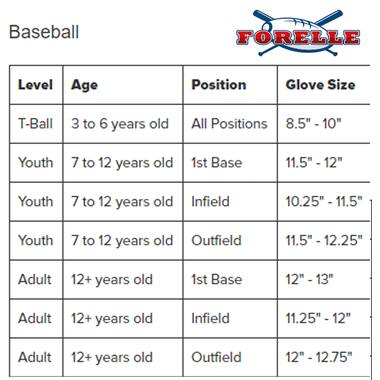 Wilson WBW100246125 12,5 Inch Baseball Glove | A360 Series Right Hand Catch